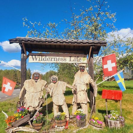 Elch Zimmer Wilderness Life Arvidsjaur Eksteriør bilde