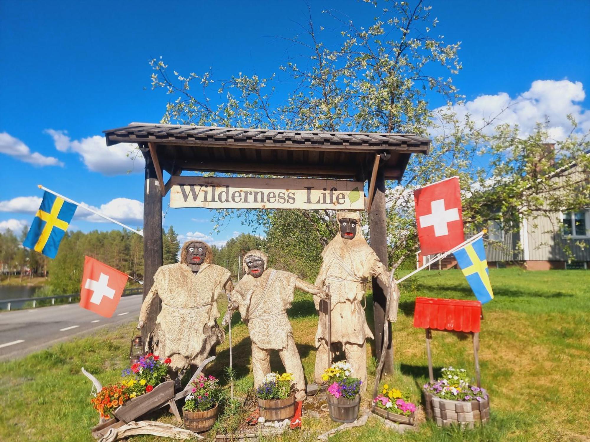 Elch Zimmer Wilderness Life Arvidsjaur Eksteriør bilde